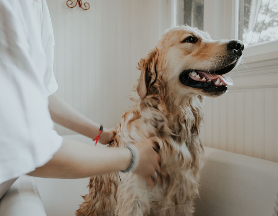Pet Grooming