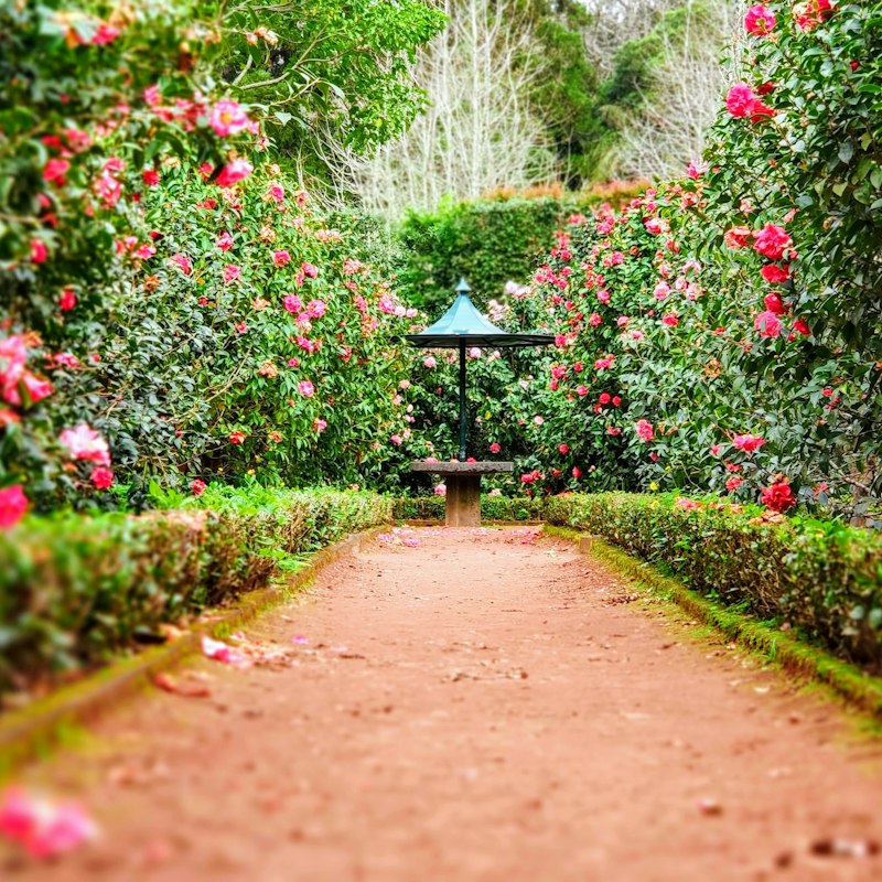 Gardener