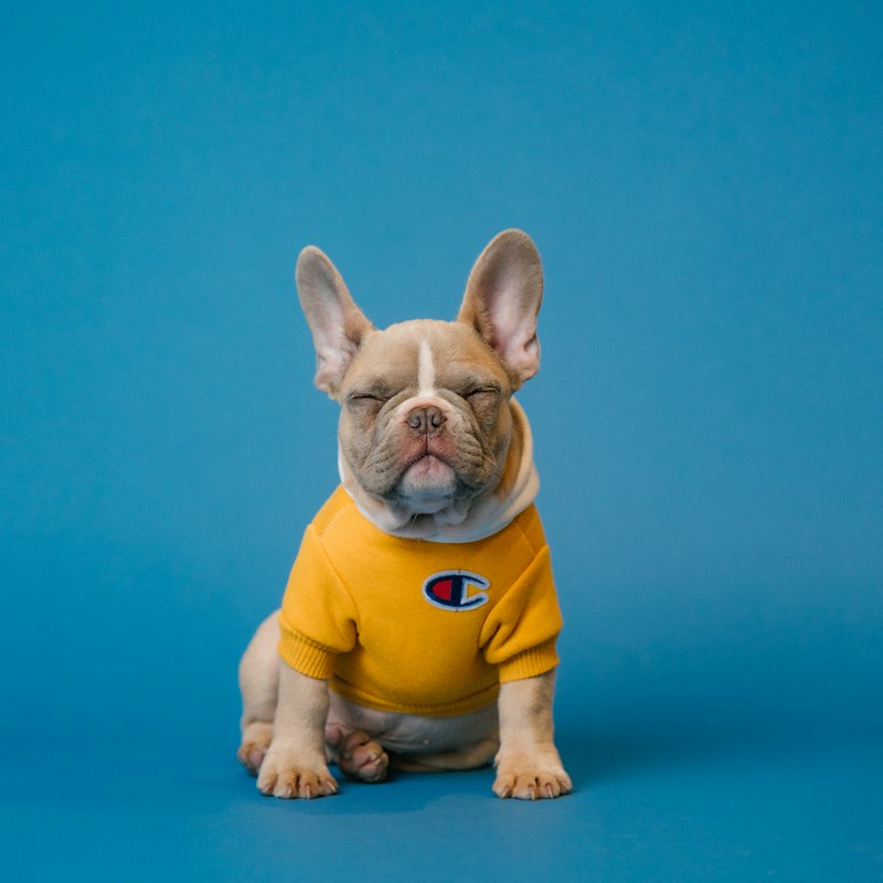 Pet Supplies