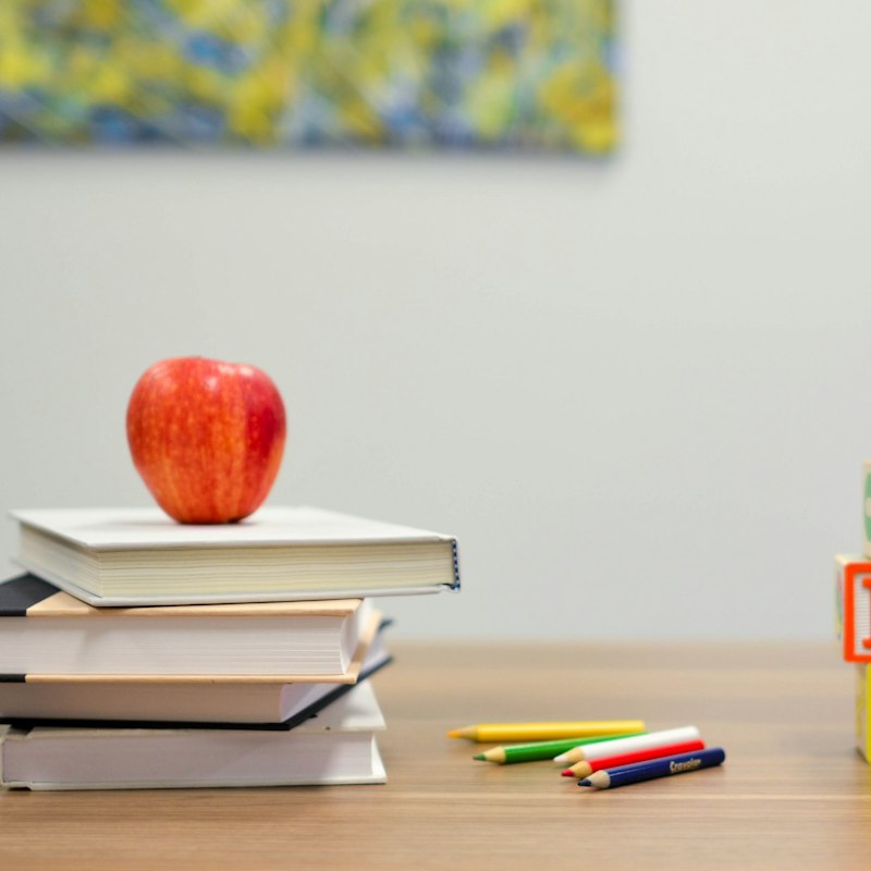 Special Needs Educator